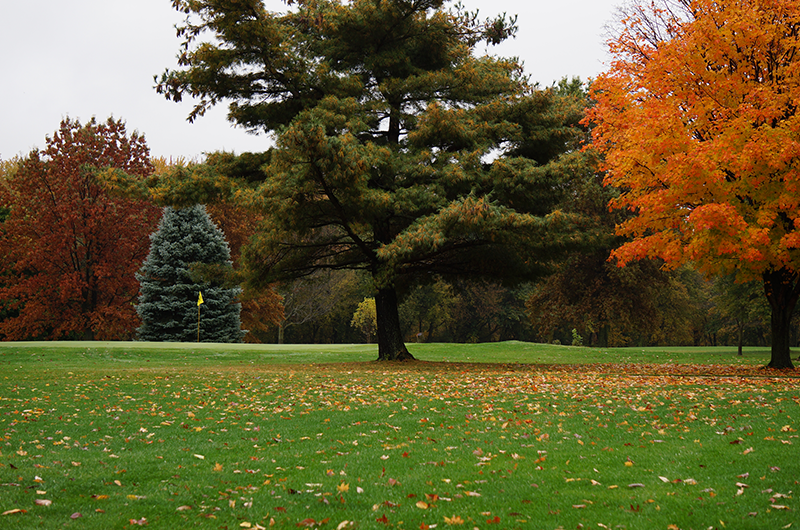 view of golf course green in fall