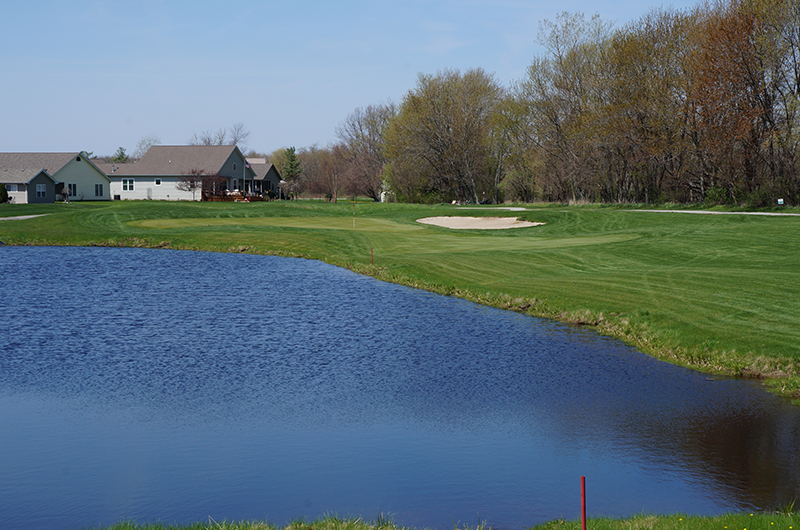 pond on course green